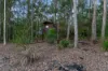 22 Parakeet Court, Warner, Qld 4500-Image