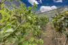 22 Peppermint Drive, Penguin, Tas 7316-Image
