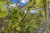 22 Peppermint Drive, Penguin, Tas 7316-Image