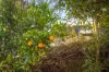 22 Philip Street, Wolumla, NSW 2550-Image