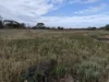 22 Railway Street, Peterborough, SA 5422-Image