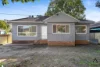 22 Ramsay St, Canley Vale, NSW 2166-Image