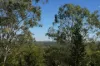 22 Ranger Street, Kenmore, Qld 4069-Image