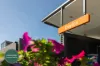 22 Robinson Street, Croydon, NSW 2132-Image