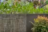22 Robinson Street, O'Connor, ACT 2602-Image
