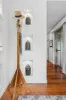 22 Robinson Street, O'Connor, ACT 2602-Image