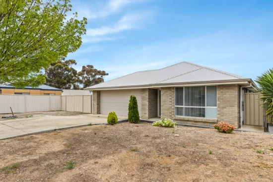22 Roche Street, Freeling, SA 5372