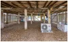 22 Ross Street, Allenstown QLD 4700-Image
