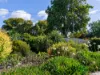 22 Saunders Street, Wynyard, Tas 7325-Image