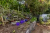 22 Scott Street, Byron Bay, NSW 2481-Image