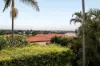 22 Sefton Avenue, Clayfield QLD 4011-Image