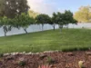 22 Sinclair Street, Annandale, Qld 4814-Image