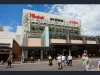 22 St James Road, Bondi Junction, NSW 2022-Image