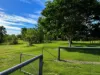 22 Sunbird Ct, Moorina, Qld 4506-Image