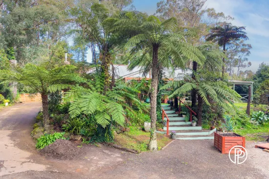 22 The Avenue, Gembrook, Vic 3783-Image