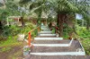 22 The Avenue, Gembrook, Vic 3783-Image