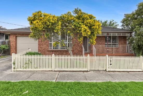 22 Thomson Street, Belmont, Vic 3216