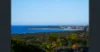 22 Walter Cres, Banora Point, NSW 2486-Image