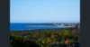22 Walter Crescent, Banora Point NSW 2486-Image