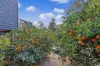 22 Wattle Street, Bowen Mountain, NSW 2753-Image