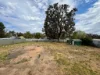 22 White Street, Coonabarabran, NSW 2357-Image