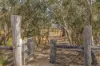 22 Whitecliff Way, Armstrong Creek, Vic 3217-Image
