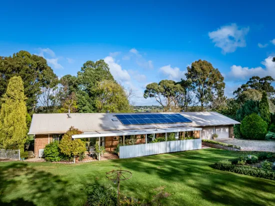 22 Wilkins Road, Naracoorte, SA 5271