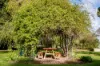22 Wilkins Road, Naracoorte, SA 5271-Image