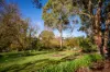 22 Wilkins Road, Naracoorte, SA 5271-Image