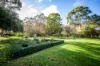 22 Wilkins Road, Naracoorte, SA 5271-Image