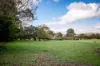 22 Wilkins Road, Naracoorte, SA 5271-Image