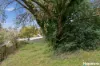 22 William Street, Korumburra, Vic 3950-Image