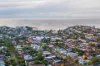 22 Wilson Street, Freshwater, NSW 2096-Image