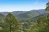 22 Witheren Road, Clagiraba, Qld 4211-Image