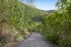 22 Witheren Road, Clagiraba, Qld 4211-Image