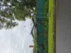 22  Yallum Tce, Kilkenny, SA 5009