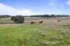 220 Haddon School Road, Haddon, Vic 3351-Image