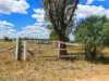 220 Macquarie View Road, Narromine NSW 2821-Image