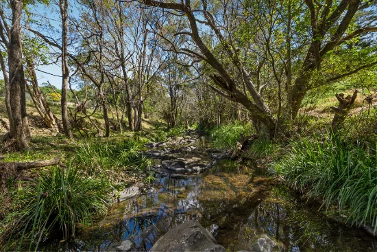 220 Upper Brookfield Road, Upper Brookfield, Qld 4069