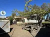 2205 Nangus Road, Nangus, NSW 2722-Image