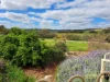 221 Old Coach Road, Mokine, WA 6401-Image