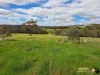 221 Old Coach Road, Mokine, WA 6401-Image