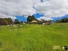 221 Old Coach Road, Mokine, WA 6401-Image