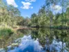 222 Gap Creek Rd, Kenmore Hills, Qld 4069-Image