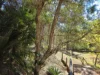 2227 Murphys Creek Road, Ballard, Qld 4352-Image