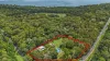 2229 Pine Creek - Yarrabah Road, East Trinity, Qld 4871