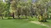 2229 Pine Creek - Yarrabah Road, East Trinity, Qld 4871-Image