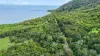 2229 Pine Creek - Yarrabah Road, East Trinity, Qld 4871-Image