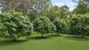 2229 Pine Creek - Yarrabah Road, East Trinity, Qld 4871-Image