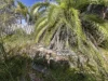 223 Gibson Avenue, Padbury, WA 6025-Image